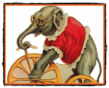Boney elefantul pe tricicleta